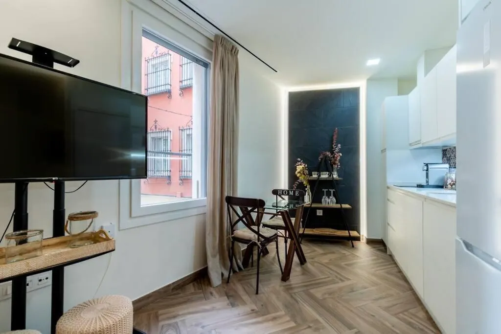 Murillo Fantastic Apartment Downtown Sevilla  塞维利亚