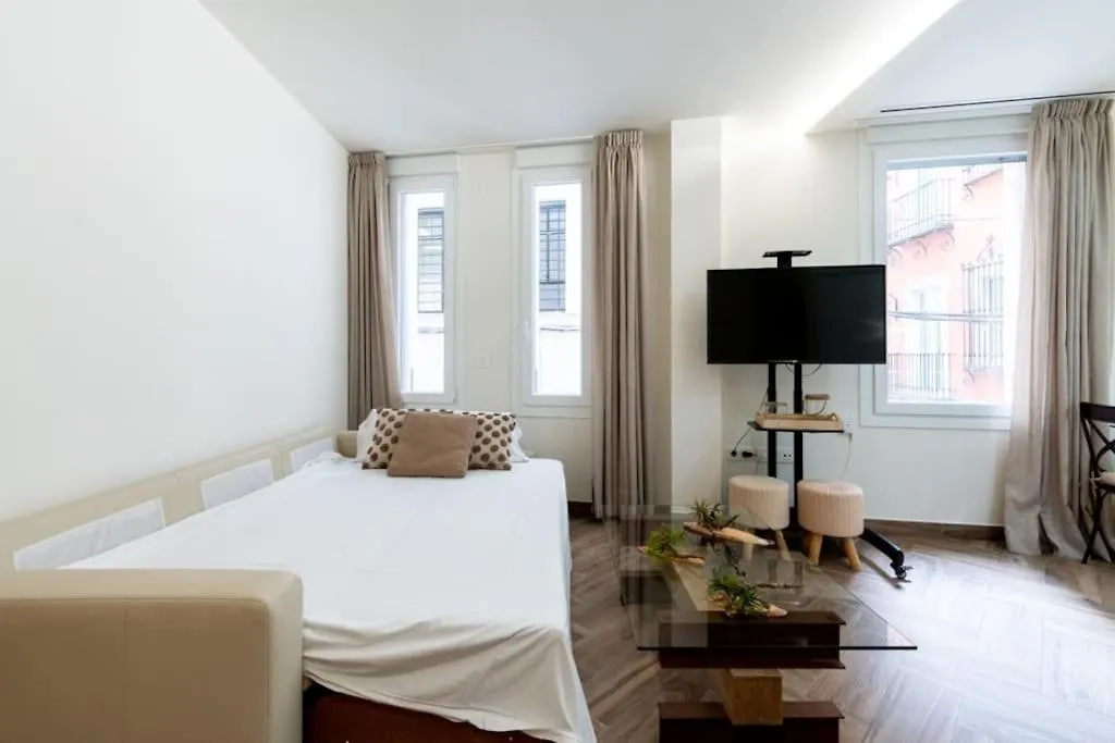 Murillo Fantastic Apartment Downtown Sevilla  塞维利亚